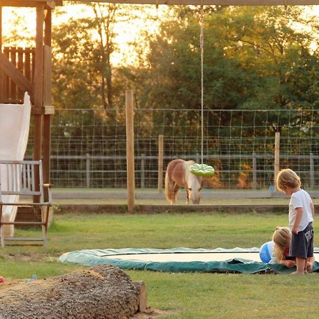 Bed and Breakfast Domaine Ramonjavel, Glamping & Alpaca'S Fongrave Экстерьер фото