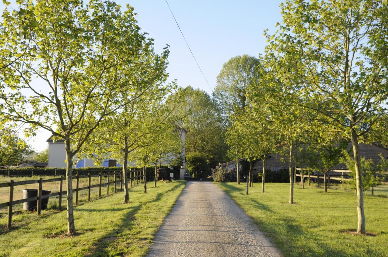 Bed and Breakfast Domaine Ramonjavel, Glamping & Alpaca'S Fongrave Экстерьер фото