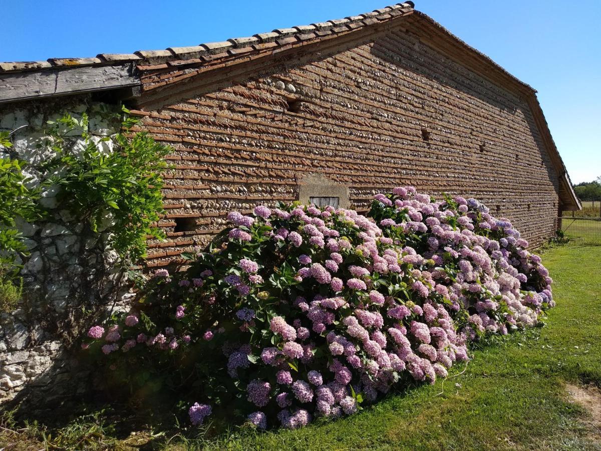 Bed and Breakfast Domaine Ramonjavel, Glamping & Alpaca'S Fongrave Экстерьер фото